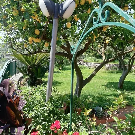 Paola Bed & Breakfast Itri